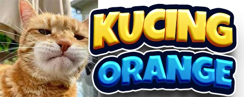 Kucing Orange Hack